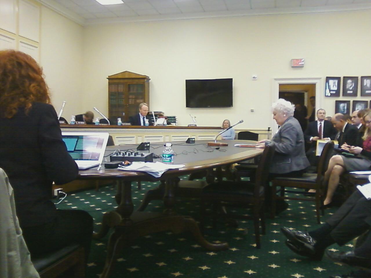 MaryTestifyingMarch2013_edit